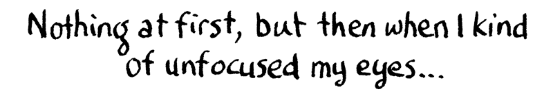 Caption: Nothing at first... but then when I kind of unfocused my eyes...